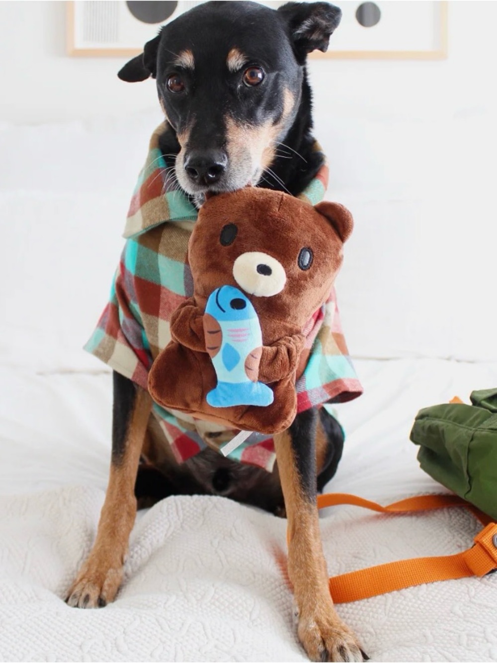NWT Bark Izzy the Grizzly & Sal Dog Toy
